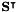 $ \mathbf{S}^\intercal $