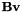 $ \mathbf{B} \mathbf{v} $